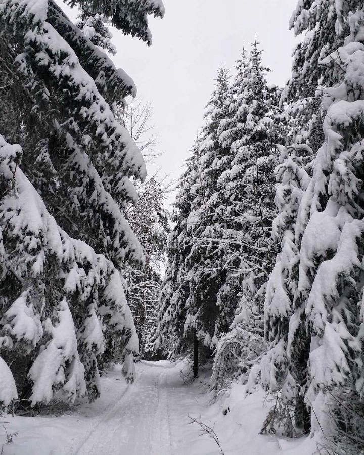Dren - Banjska Stena Mitrovac Buitenkant foto