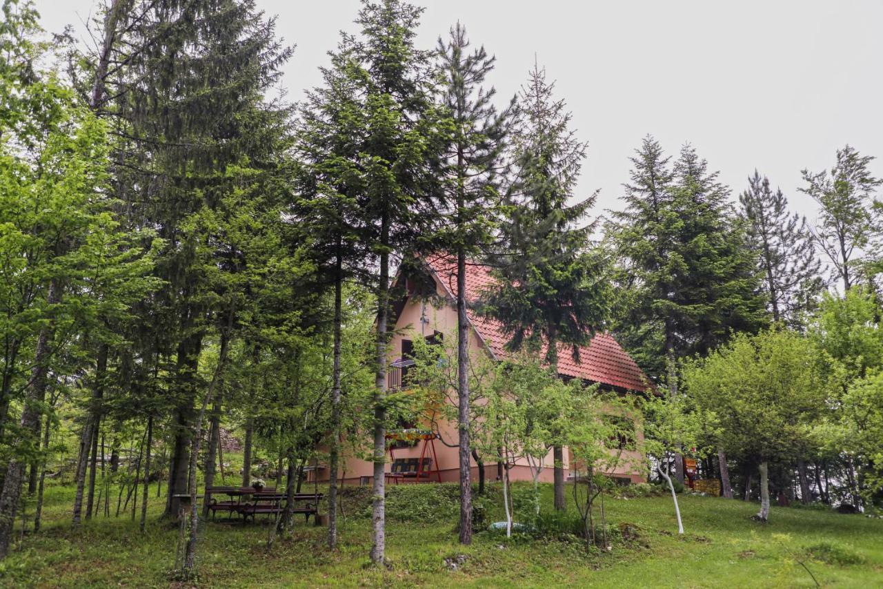 Dren - Banjska Stena Mitrovac Buitenkant foto