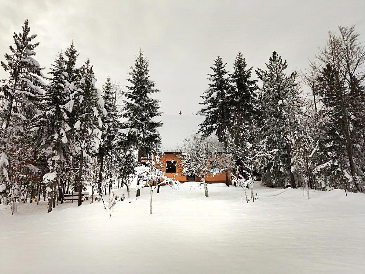 Dren - Banjska Stena Mitrovac Buitenkant foto